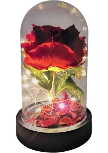 Fanus Içerisinde Dekoratif Rgb LED Işıklı Solmayan Kırmızı Gül