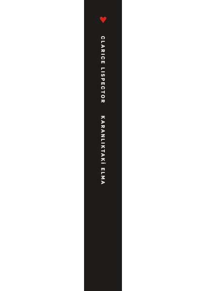 Karanlıktaki Elma - Clarice Lispector fiyatları