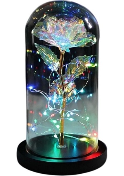Fanus Içerisinde Dekoratif Rgb Peri LED Işıklı Solmayan Sonsuzluk Gülü