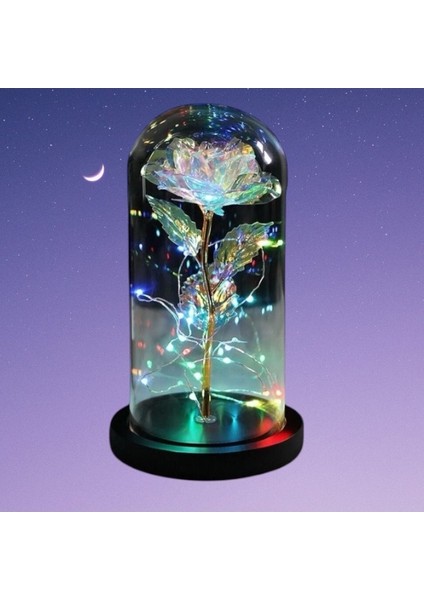 Fanus Içerisinde Dekoratif Rgb Peri LED Işıklı Solmayan Sonsuzluk Gülü fırsatları