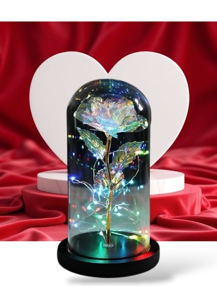 Fanus Içerisinde Dekoratif Rgb Peri LED Işıklı Solmayan Sonsuzluk Gülü indirimleri