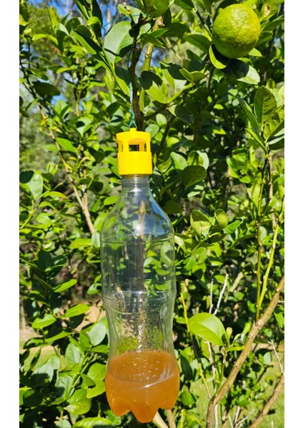 Şişeye Takılabilir Arı ve Sinek Kapanı – Dayanıklı Petg 3D Baskı