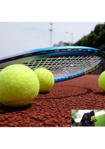 3 Adet Tenis Topu Köpek Oyun Topu fiyatları