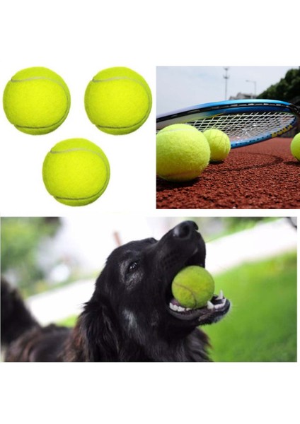 3 Adet Tenis Topu Köpek Oyun Topu modelleri