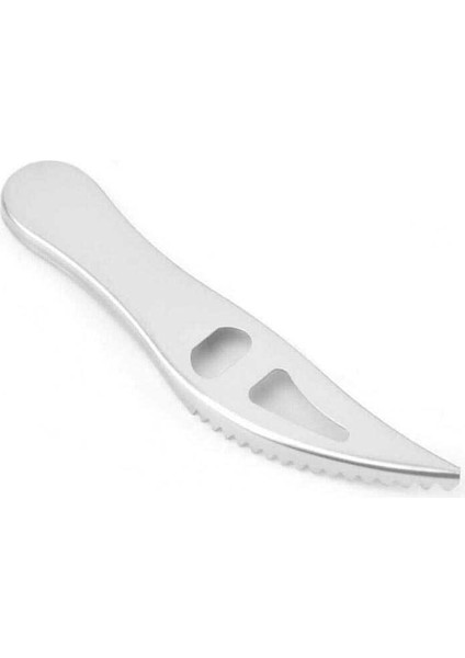 Balık Pulu Temizleme Aparatı