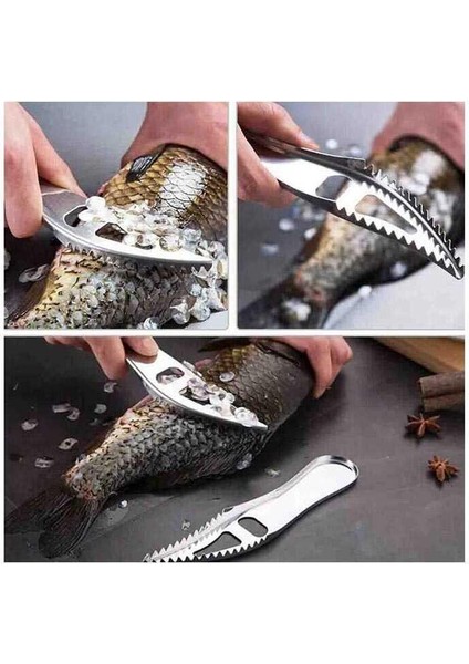 Balık Pulu Temizleme Aparatı modelleri