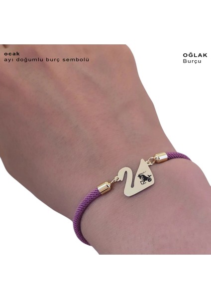 Altın Plakalı 14 Ayar Oğlak Burçlarına Özel Kuğu Kuşu Figürlü Mor Örgülü Hediye BILEKLIK-605BURÇ fırsatları
