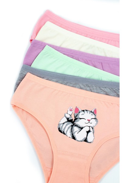 Kız Çocuk Külot 6'lı Baskılı (%96 Pamuk - %4 Elastan)