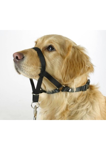 Köpek Eğitim Tasması Maxi Coach 54 cm Den Küçük, XL