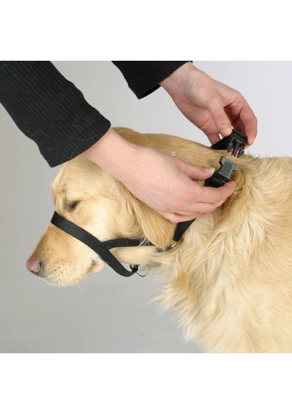 Köpek Eğitim Tasması Maxi Coach 54 cm Den Küçük, XL fiyatları