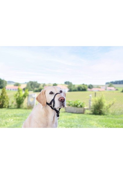 Köpek Eğitim Tasması Maxi Coach 44 cm Den Küçük, L indirimleri