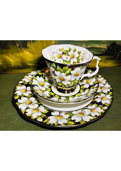 Royal Albert Dogwood Çay Kahve Fincanı Fincan Tabağı ve Pasta Tabağı modelleri