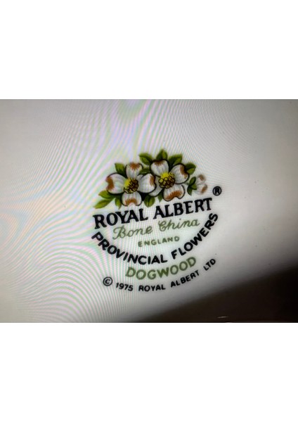 Royal Albert Dogwood Çay Kahve Fincanı Fincan Tabağı ve Pasta Tabağı