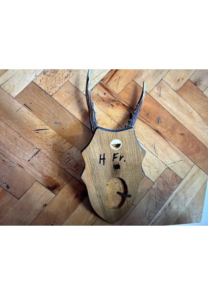 Ahşap Kaidesinde Karaca Geyik Trofesi Boynuzu 32 cm Boyunda - 745JHDFS356