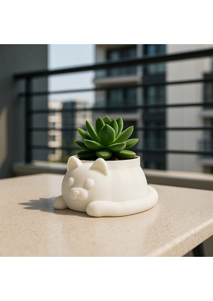 Modern Kedi Figür Sukulent Saksısı