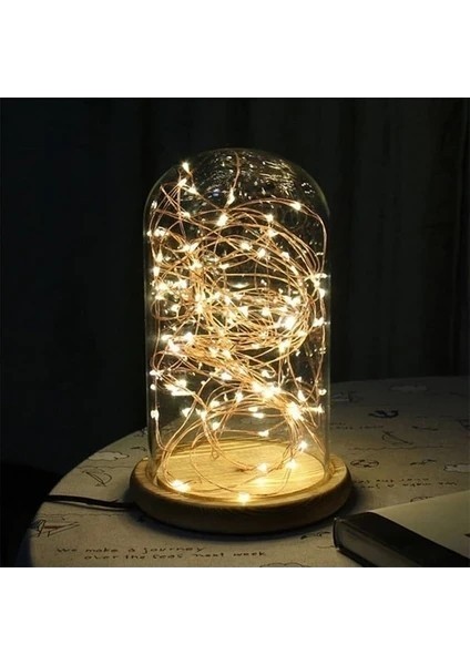 10 Metre Pilli Peri Led, Dekor Işık (Günışığı)