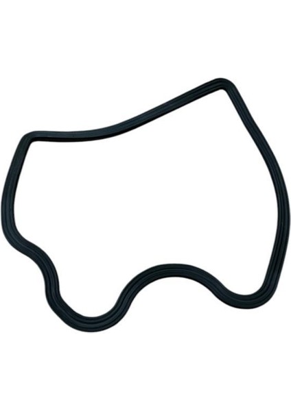 Raider 125 Külbütör Kapak Contası Orijinal