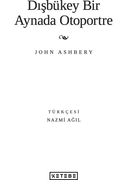 Dışbükey : Bir Aynada Otoportre - John Ashbery modelleri