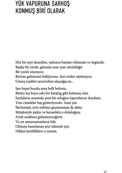 Dışbükey : Bir Aynada Otoportre - John Ashbery