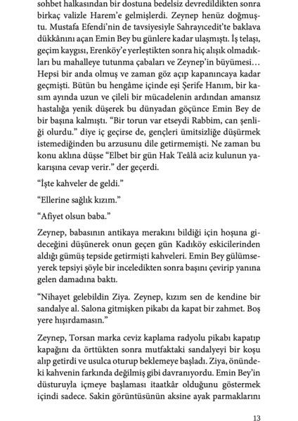 Şehir Yıkılırken - Nuri Sincanlı