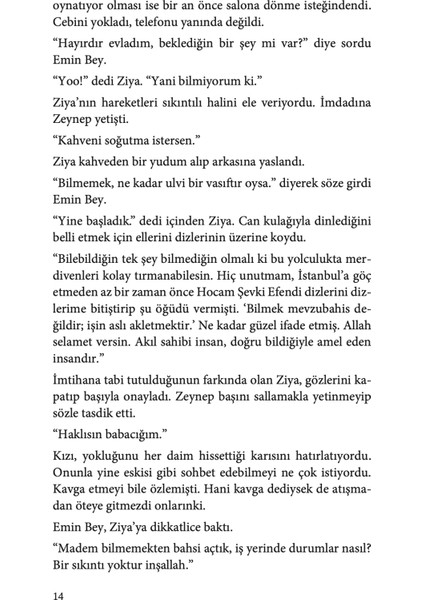 Şehir Yıkılırken - Nuri Sincanlı