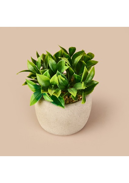 Beton Saksıda Doğal Görünümlü Bitki fiyatları