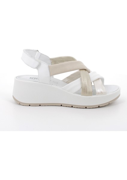 Kadın Sandalet 7666722 Igı&co Dcr 76667 Sı.nappa Bottal Bianco Platino fiyatları