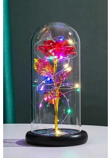 Metalik Kadife Sonsuzluk Gülü Işıklı Şeffaf Kutulu Dekoratif Gül Aranjmanı Hediye Kutusu Içerisinde Romantik ve Şık Görünümlü Ömürlük Yapay Gül Aksesuarı Sevgililer Günü ve Özel Günler Için