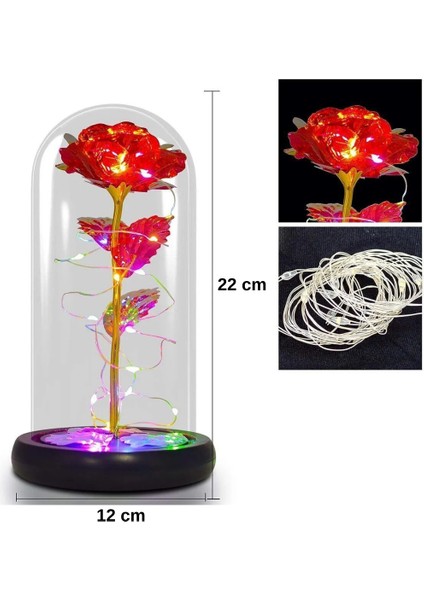 Metalik Kadife Sonsuzluk Gülü Işıklı Şeffaf Kutulu Dekoratif Gül Aranjmanı Hediye Kutusu Içerisinde Romantik ve Şık Görünümlü Ömürlük Yapay Gül Aksesuarı Sevgililer Günü ve Özel Günler Için fiyatları