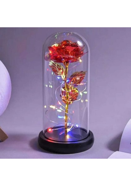 Metalik Kadife Sonsuzluk Gülü Işıklı Şeffaf Kutulu Dekoratif Gül Aranjmanı Hediye Kutusu Içerisinde Romantik ve Şık Görünümlü Ömürlük Yapay Gül Aksesuarı Sevgililer Günü ve Özel Günler Için modelleri