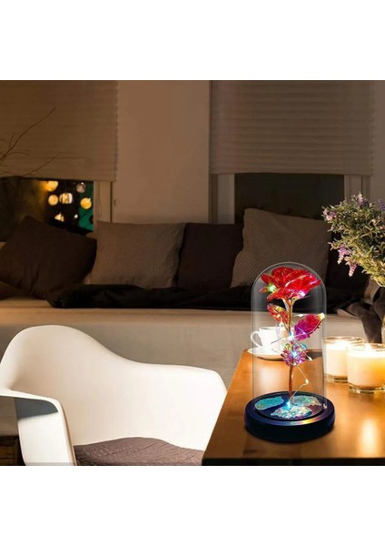 Metalik Kadife Sonsuzluk Gülü Işıklı Şeffaf Kutulu Dekoratif Gül Aranjmanı Hediye Kutusu Içerisinde Romantik ve Şık Görünümlü Ömürlük Yapay Gül Aksesuarı Sevgililer Günü ve Özel Günler Için fırsatları