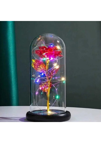 Metalik Kadife Sonsuzluk Gülü Işıklı Şeffaf Kutulu Dekoratif Gül Aranjmanı Hediye Kutusu Içerisinde Romantik ve Şık Görünümlü Ömürlük Yapay Gül Aksesuarı Sevgililer Günü ve Özel Günler Için indirimleri