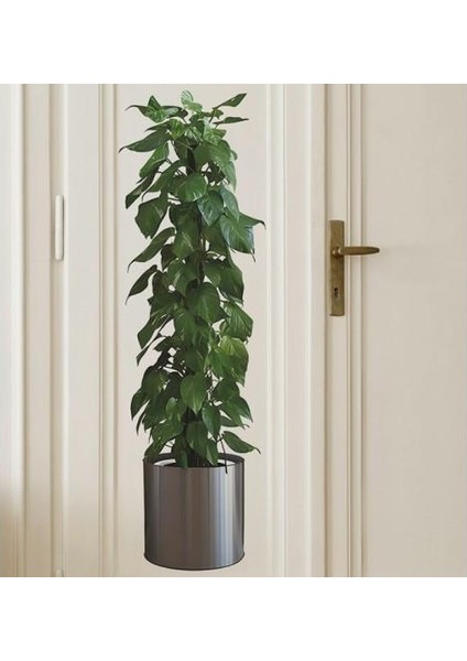 90*30 cm Bitki Tasarım Duvar Sticker Bitki Saksı Desen Duvar Çıkartması Duvar Dekorasyonu