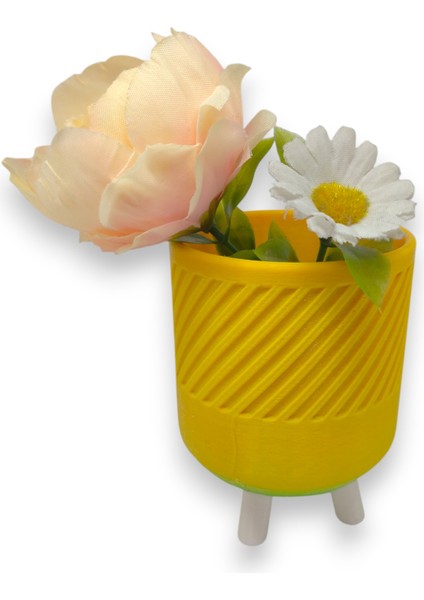 3D Gökkuşağı Renkli Saksı - Kompakt Saksı - Dekoratif ve Modern Tasarım