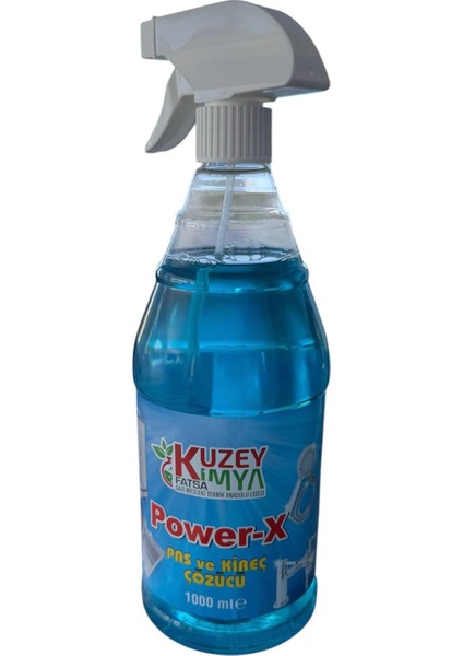 Power-X Pas ve Kireç Sökücü - 1000 ml
