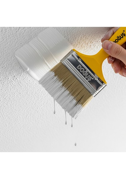 Plastik Saplı Kestirme Boya Fırçası | 1no - 1,5no - 2no - 2,5no - 3no - 4no, Tüm Numaralar Mevcut, Profesyonel ve Hobi Işleriniz Için Ideal fırsatları