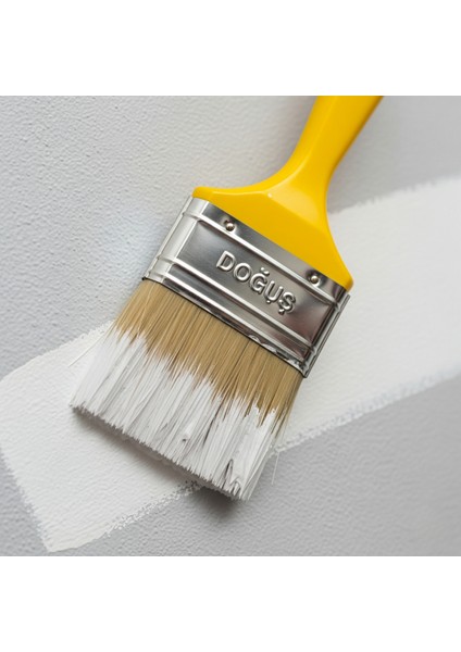 Plastik Saplı Kestirme Boya Fırçası | 1no - 1,5no - 2no - 2,5no - 3no - 4no, Tüm Numaralar Mevcut, Profesyonel ve Hobi Işleriniz Için Ideal fırsatları