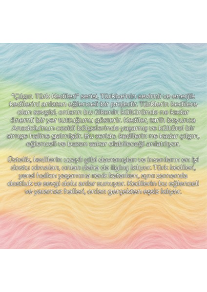 MISFITTENS SÜRPRİZ KUTU ÇILGIN TÜRK KEDİLERİ SERİSİ fırsatları