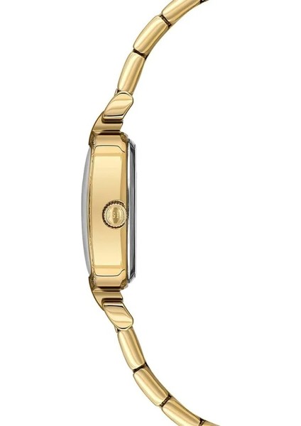 USPA2114-03 Kadın Kol Saati fiyatları