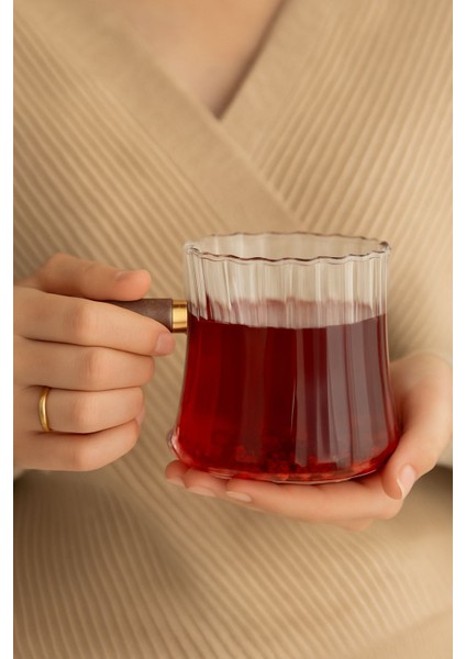 Akasya Kulplu Çizgili Model Cam Demlik Borosilikat (400 Ml) fiyatları