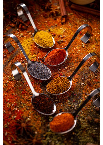 Kajun Baharatı 70 gr fırsatları