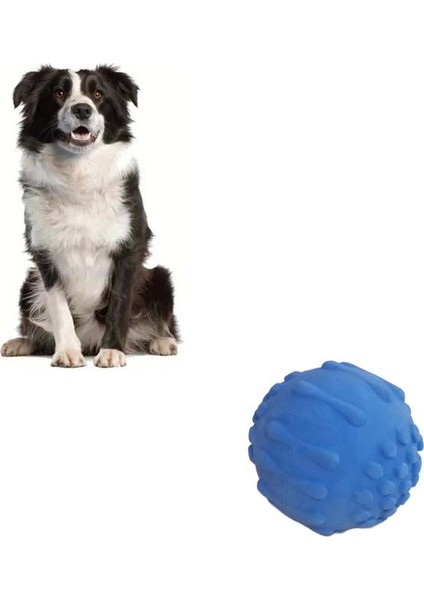 Mavi Renk Küçük Oyun Topu Köpek Oyun Topu