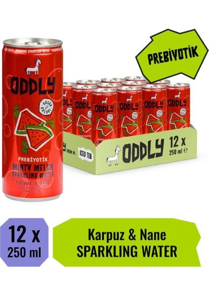 Mınty Melon Karpuz Nane Kutu 250 ml x 12 Adet
