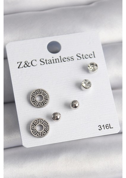 Bfs 316L Çelik Gümüş Renk Zirkon Taşlı Labirent Model Kadın Küpe Seti