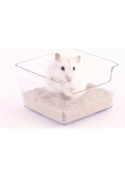 Hamster Ginepig Banyo Kumu 1 kg Banyo Kabı 2 Li Set