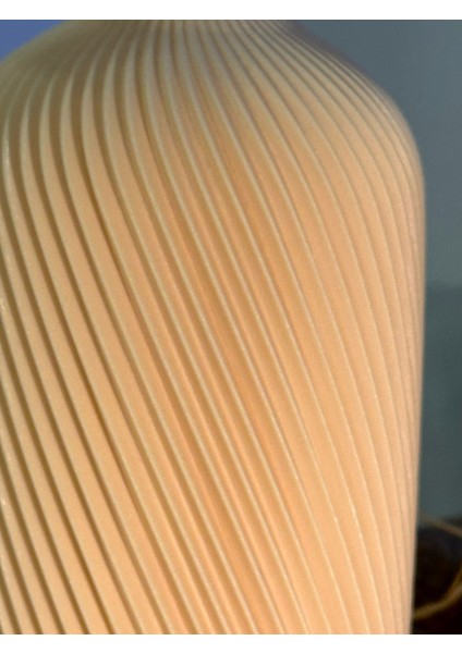 Modern Desenli Dekoratif Vazo modelleri