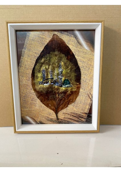 Kurutulmuş Yaprak Üzeri Kabe