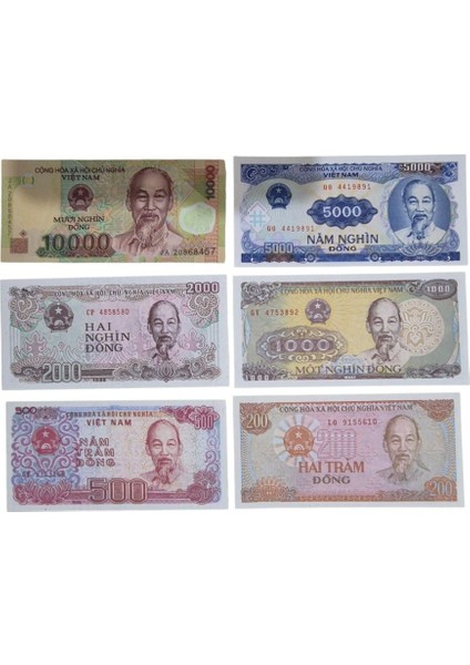 Vietnam 6'lı Set Çil