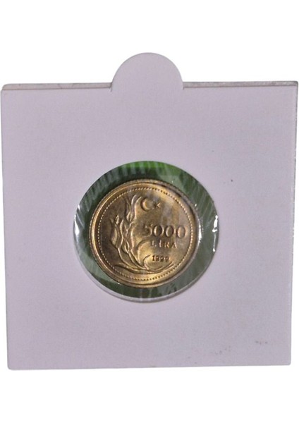 1999 Yılı 5 Bin Lira Çil