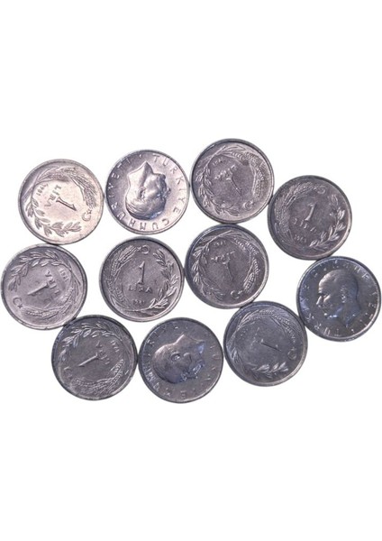 1981 Yılı 1 Lira 11 Adet Çil-Ça